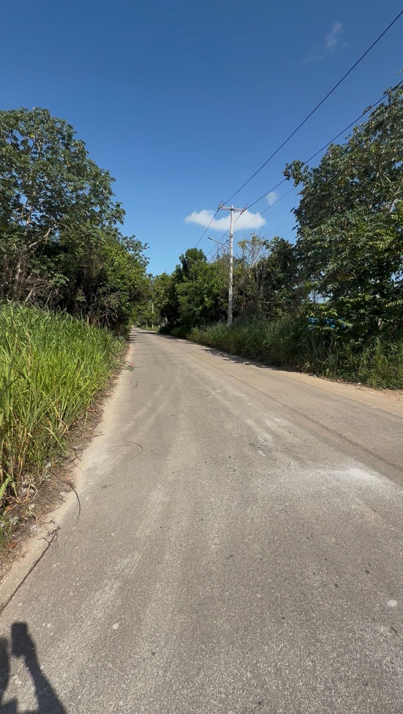 C22-Terrenos Bacalar