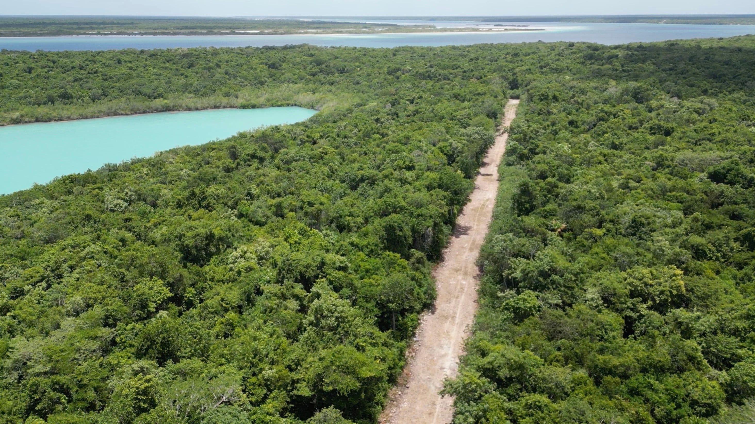 Aerial view of the dirt access road cut through the jungle leading to the lagoon at Bacalar Jungle